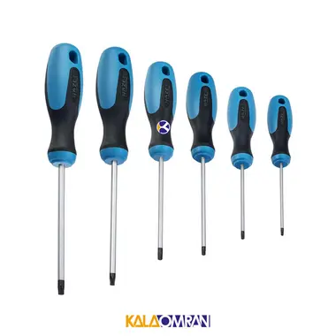 مجموعه 6 عددی پیچ گوشتی مدل 810T هازت