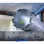 مته کرگیری بوش مدل PRO Core Cutter