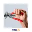 انبر کلاغی 10 اینچ مدل 8751250 کنیپکس