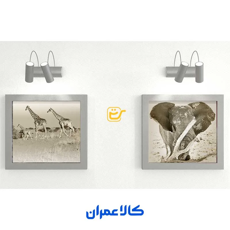 رول پلاک UX فیشر