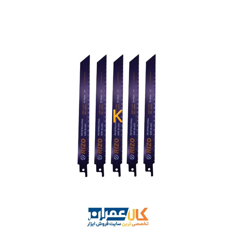 خرید مجموعه 5 عددی تیغه اره افقی بر مدل YP-1122BF/225MM ریزو