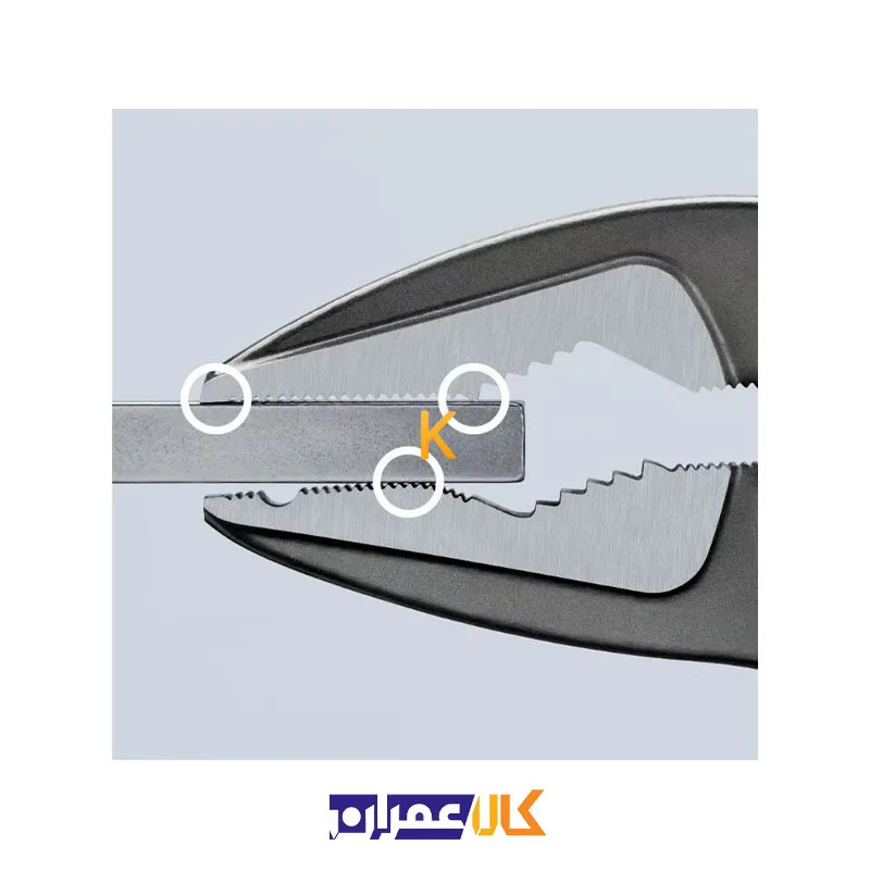 انبر کلاغی 10 اینچ مدل 8751250 کنیپکس