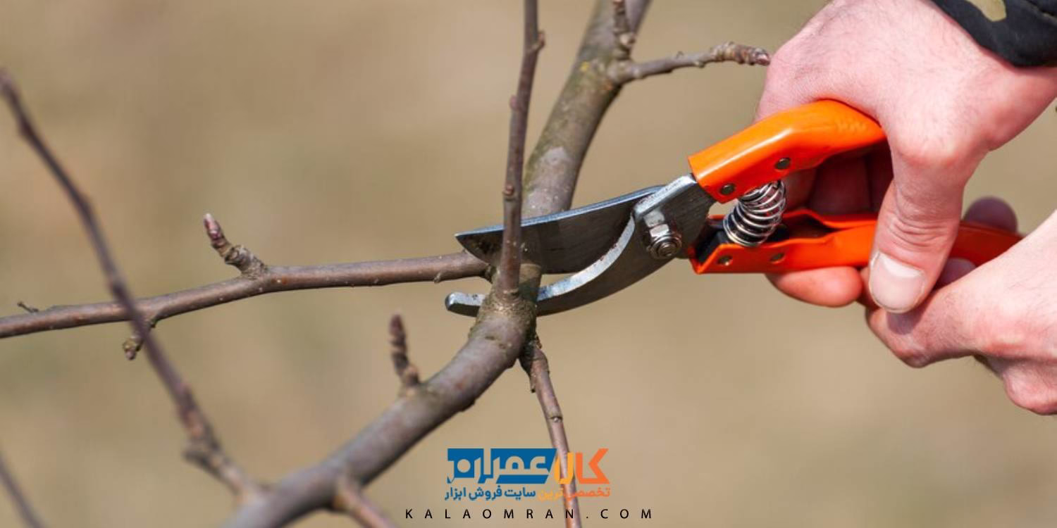 قیچی باغبانی رونیکس